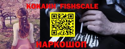гашик Будённовск