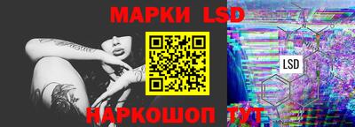 гашик Будённовск