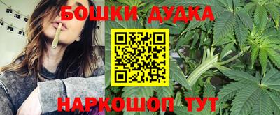 гашик Будённовск