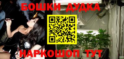 гашик Будённовск