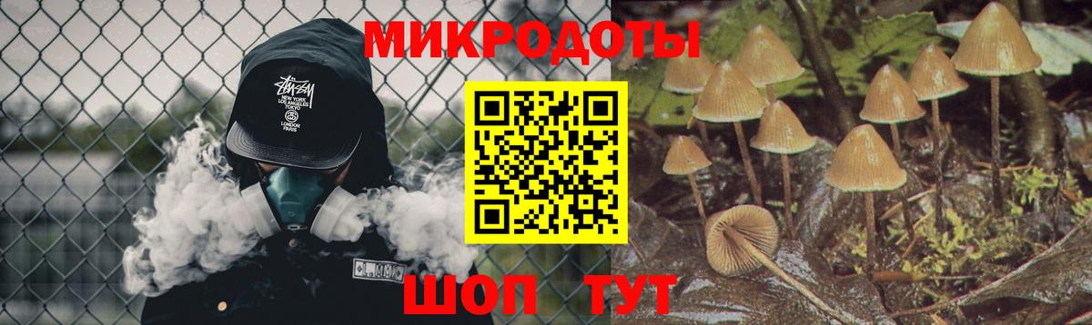Галлюциногенные грибы Psilocybe Советский